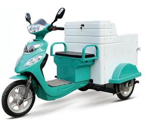 鄭州電動(dòng)保護(hù)環(huán)境車(chē)